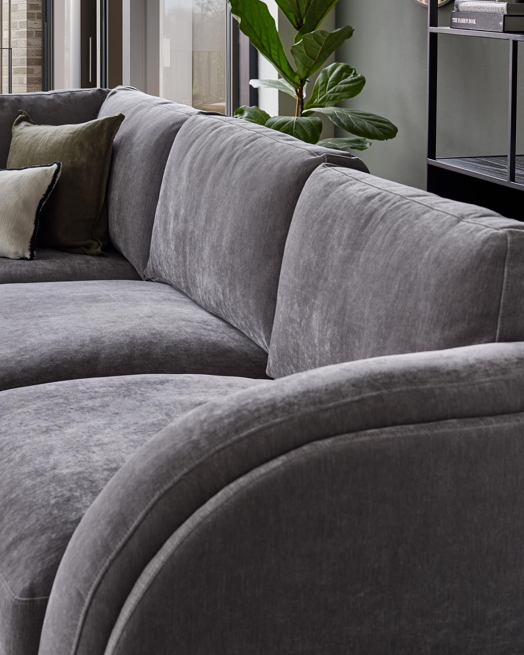 Modern gray sectional sofa with plush fabric and decorative pillows, complemented by a large leafy plant in the background.