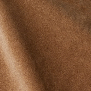 Caramel Smooth Plush Fabric