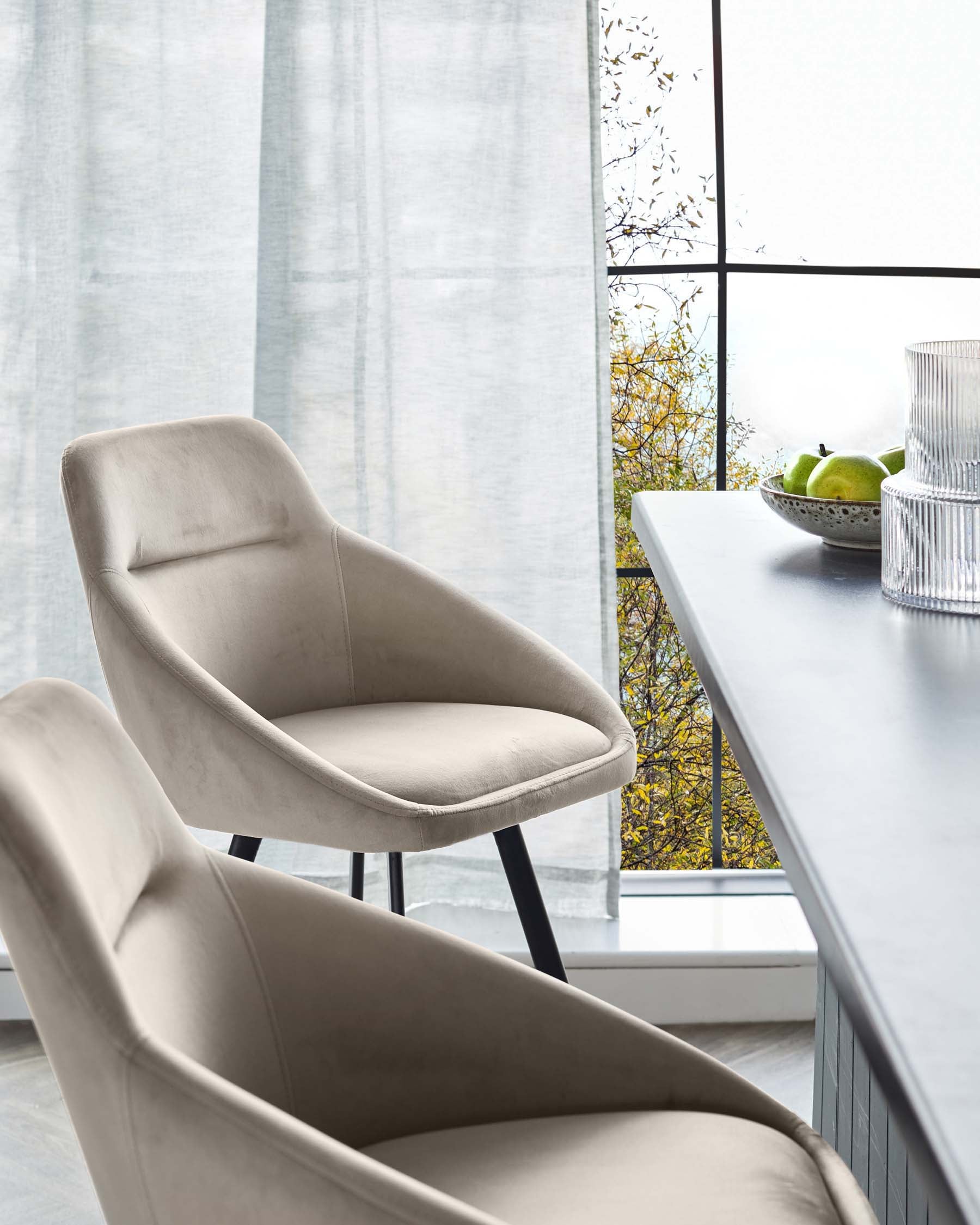 Elegant modern dining chairs with a velvety beige upholstery and sleek black metal legs, set against a backdrop of a contemporary dining table and a large window with sheer curtains, offering a view of autumn foliage.