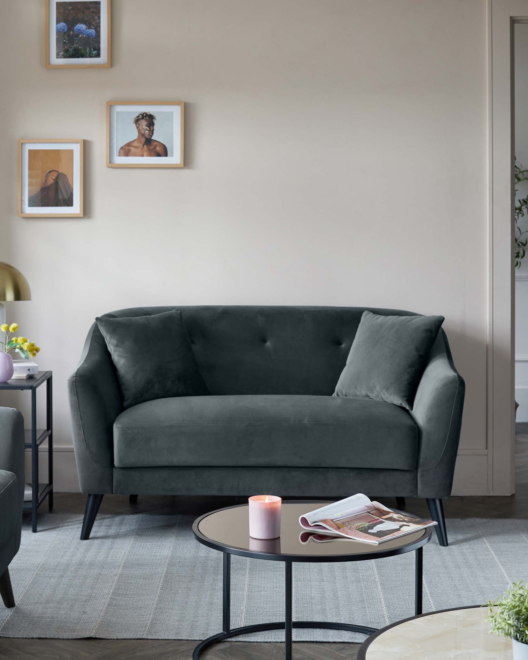 erin 2 seater sofa cosy velvet dark grey