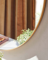 A sleek, round wall mirror with a thin golden frame, reflecting a portion of a sunlit room with a verdant houseplant.