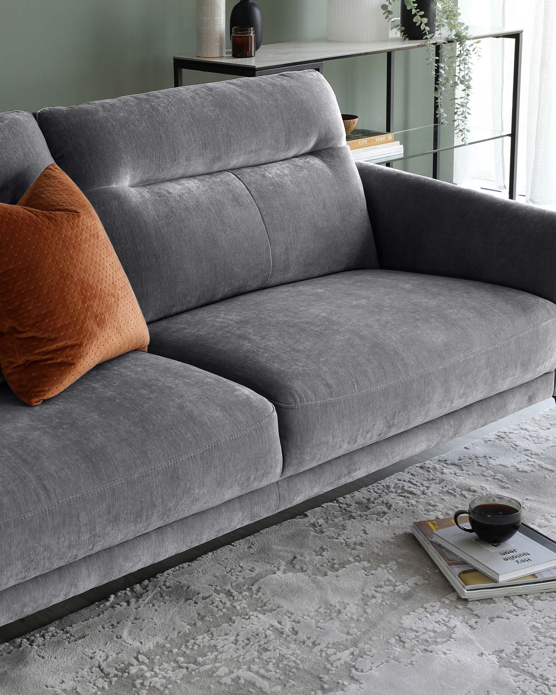 A contemporary grey fabric three-seater sofa with plush cushions and a single textured terracotta pillow. In front of the sofa is a low-profile coffee table with a black frame, holding a cup of coffee, a small plant, and books, all atop an abstract-patterned off-white area rug.