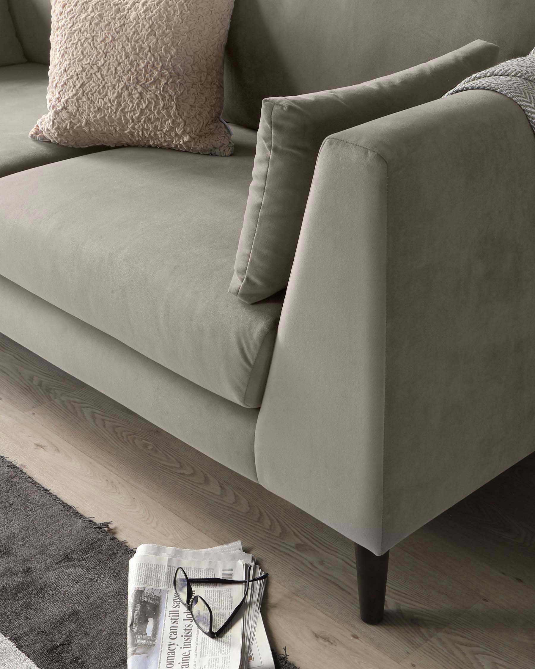 Modern luxurious velvet sofa in a neutral taupe shade with plush cushions and a soft, textured throw pillow on it. The sofa has clean lines and sits on dark, elegant wooden legs. A newspaper and a pair of glasses are casually placed on a grey rug next to the sofa, creating an inviting and lived-in atmosphere.