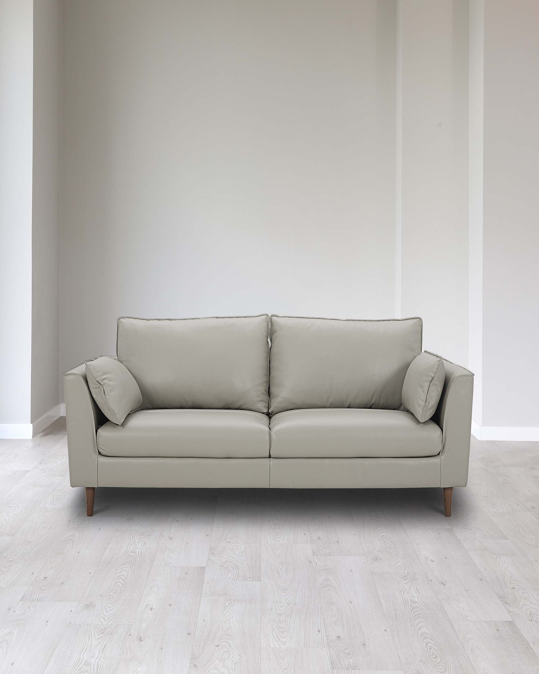 A modern three-seater sofa with a minimalist design, featuring sleek, straight lines and a solid colour. The sofa has a matte finish, is upholstered in a light grey fabric, and is supported by four wooden legs with a natural finish. Two comfortable back cushions and one small side cushion complement the couch, placed against a simple, neutral background with white walls and light wooden flooring.