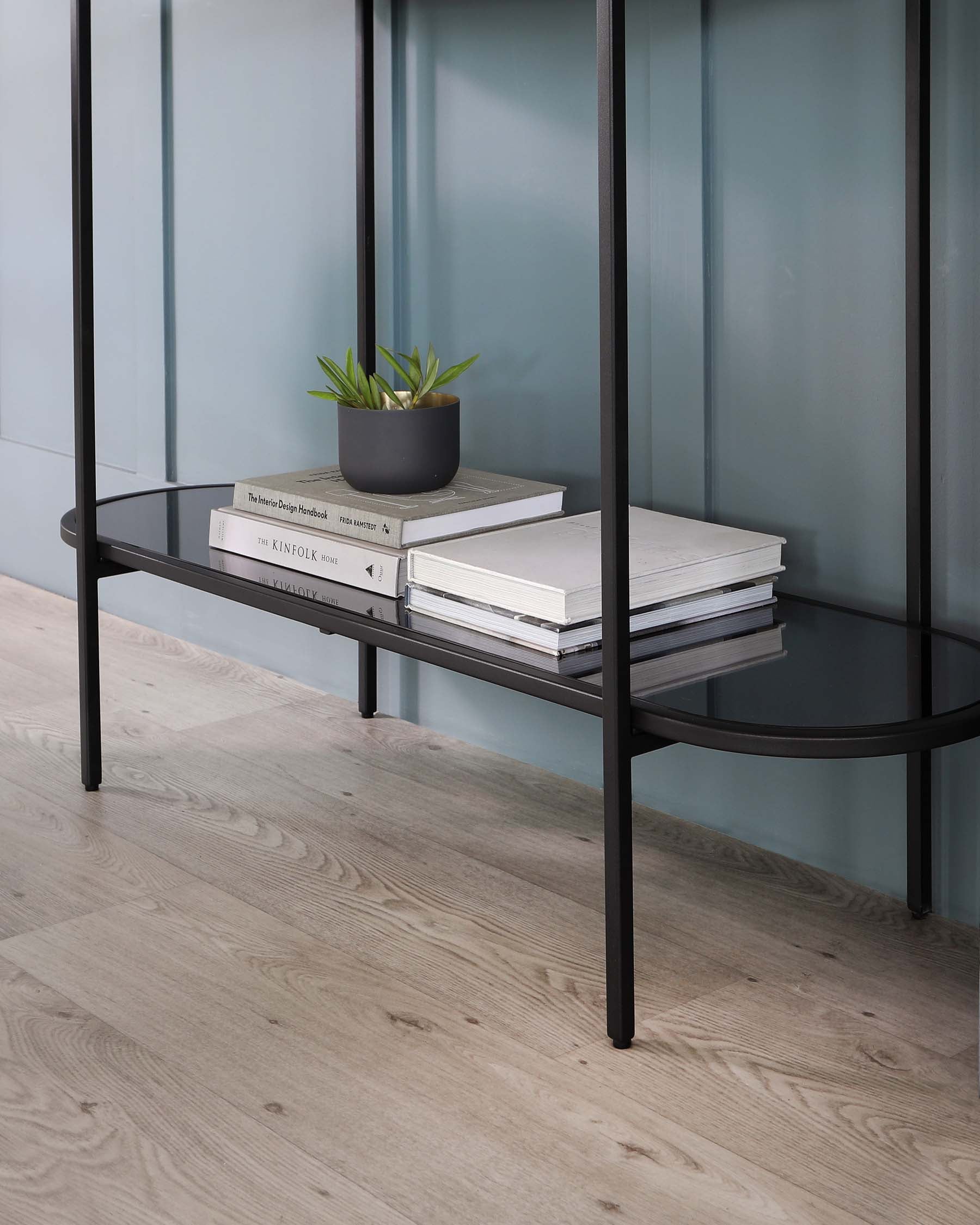 Elegant minimalistic metal console table with a glass top shelf and a lower metal shelf, featuring a stack of books and a plant pot on the upper surface, set against a blue panelled wall and light wooden floor.